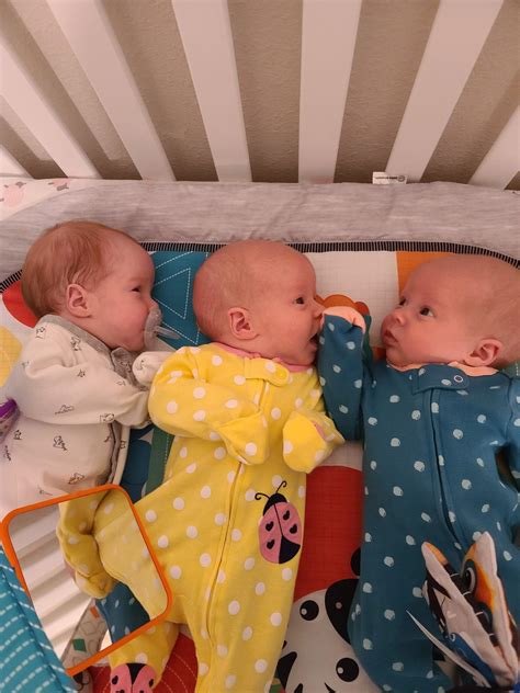 Meet my GGG triplets! Two identical, one fraternal born on 7/1/2020. It