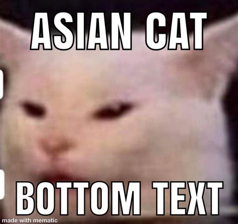 ASIAN CAT : r/memes