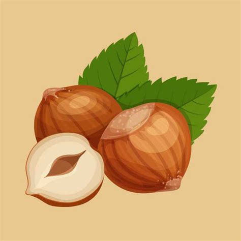 Hazelnut Milk Nutrition Facts – Mylk