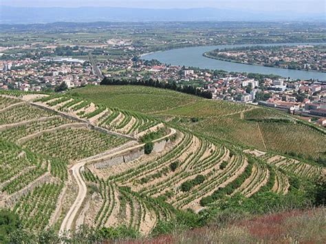 categorytain lhermitage wikimedia commons