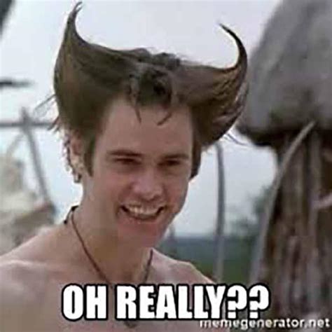 43 Funniest Really Meme - Meme Central