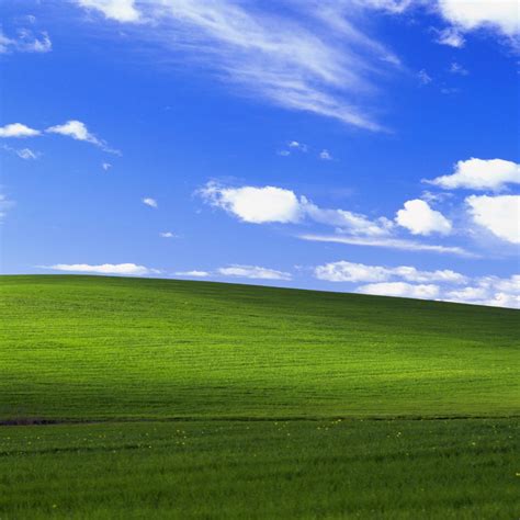 2048x2048 Windows Xp Bliss 4k Ipad Air ,HD 4k Wallpapers,Images ...