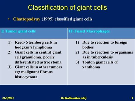 Giant cell formation and function ppt