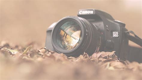 photography banner rise media