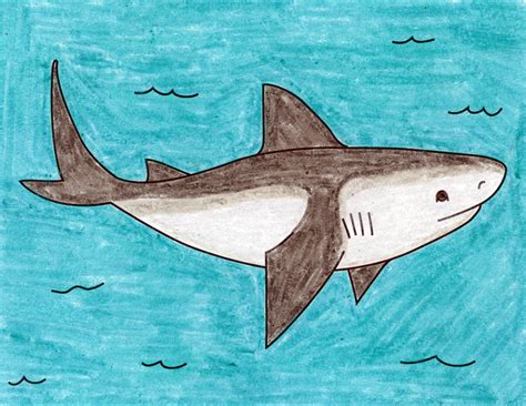 Easy How to Draw a Shark Tutorial Video and Shark Coloring Page
