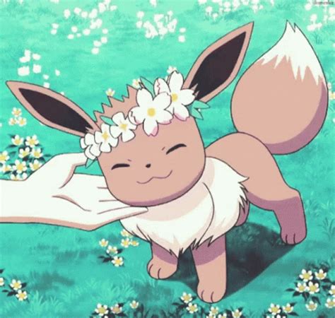 Pokemon Pokemon Eevee GIF - Pokemon Pokemon Eevee Eevee Pokemon ...