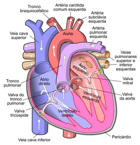 Quantos Que Vale Um Coração - 5