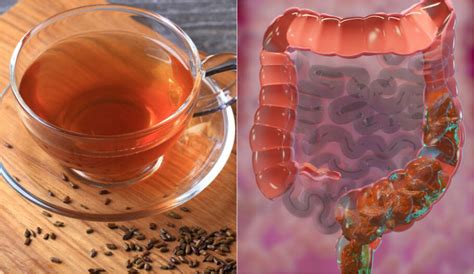Chas Para Desinflamar O Intestino - Chás laxantes naturais para fazer uma faxina no intestino