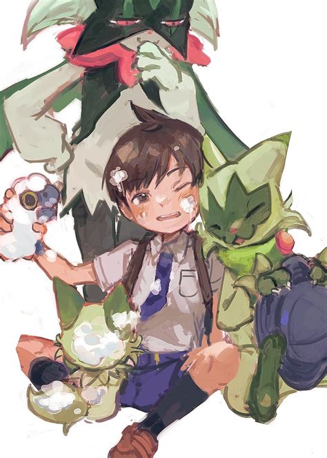 sprigatito florian meowscarada mareep  floragato pokemon
