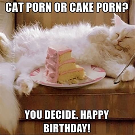 Funny Cat Birthday Meme - Funny PNG