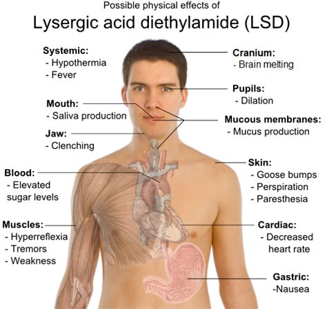 อัลบั้ม 99+ ภาพพื้นหลัง Lysergic Acid Diethylamide ยาเสพติดประเภทใด คมชัด