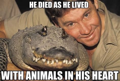 Steve Irwin meme Irwin Family, Crocodile Hunter, Dentaltown, Positive ...