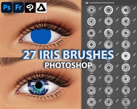 Photoshop Iris Brushes. Photoshop Eye Brush. Digital Brushes - Etsy