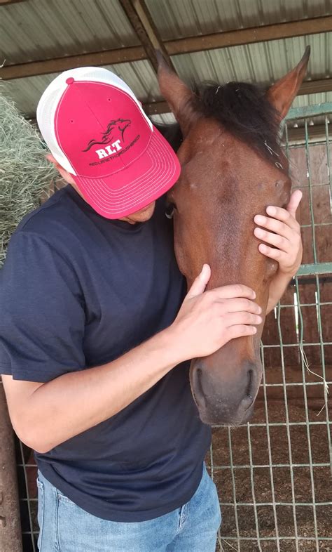 Behind the scenes of horse... - Retama Park Race Track