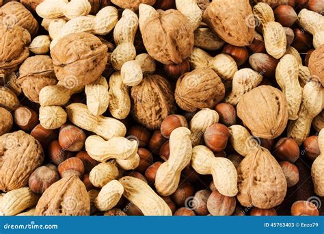 Variety nuts stock image. Image of full, hazelnut, eating - 45763403