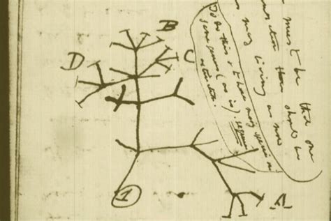 Over 16,000 Pages of Darwin's Research on Evolution Released Online ...