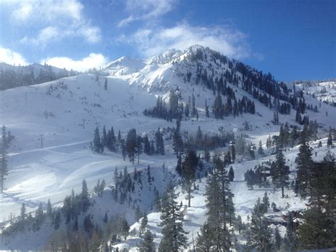 Current State of Squaw Valley | Unofficial Networks