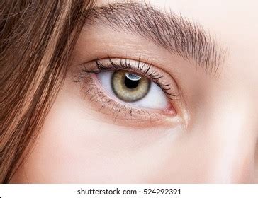 Closeup Shot Hazel Female Eye Makeup Stock Photo 524292391 | Shutterstock