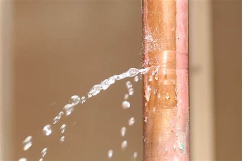 The Leak That Changed Everything: Sofia Gomez's Fall From Grace - x14sq9d