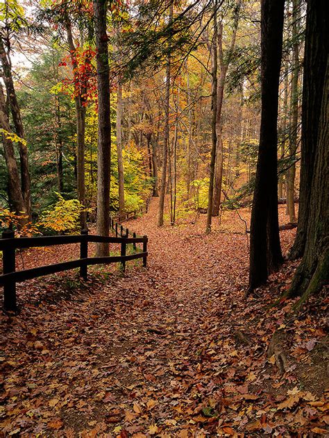 Forest Path at Brecksville, Ohio - Landscape - Photo.net