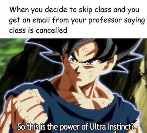 The Best of Japan: Top 50 Anime Memes!