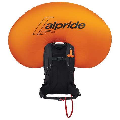 Osprey Soelden Pro Avy 32 E2 - Lawinenrucksack Herren