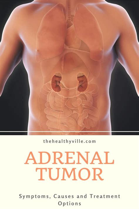 Symptoms of adrenal glands - scoopasl