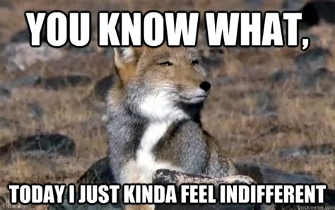 indifferent tibetan fox memes quickmeme