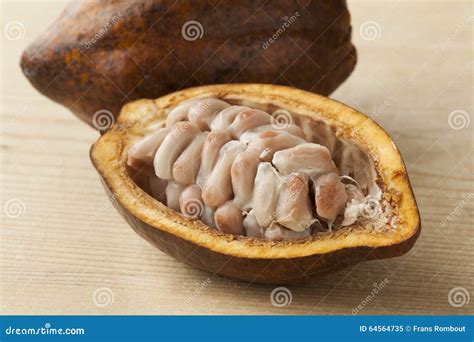 Cacao Fruit, Raw Cacao Beans, Cocoa Pod On White Background. Royalty ...
