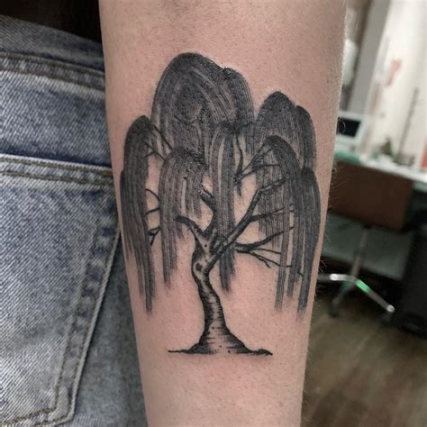 weeping willow tattoo ideas capturing  beauty  nature