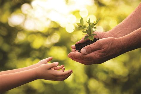 A simpler way of giving | Tax Adviser