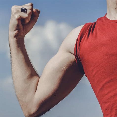 muscle action concentric eccentric  isometric muscles