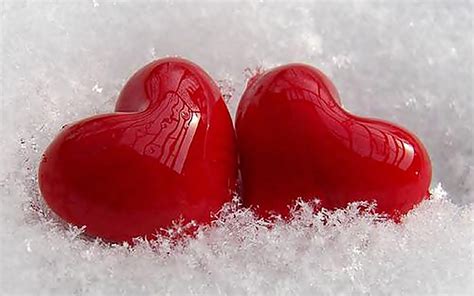 editor lets celebrate  month  love pitter patter