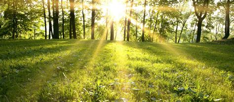 Rabbi's Message: The Great Outdoors — Downtown Synagogue