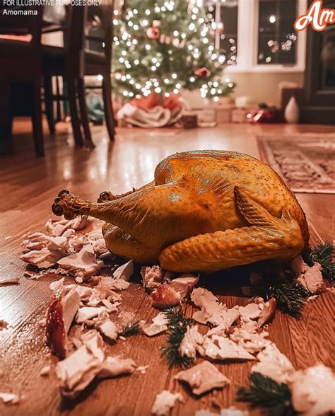 Mama To7 Family - ON THANKSGIVING, MY DAUGHTER, 5, THREW TURKEY ONTO