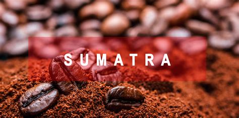 Sumatra – Common Ground Coffee Roasters