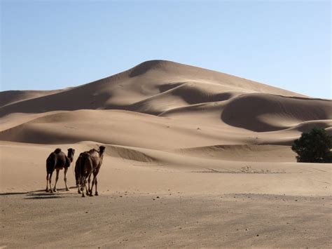 Ancient Star Dune Discovery Unravels 13,000-Year-Old Mystery