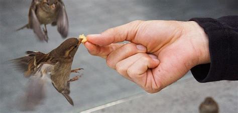 iyilik yapmayi ve ibadet etmeyi aliskanlik edinmek ile ilgili hadis