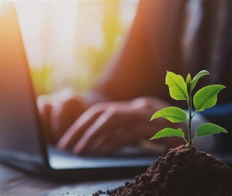 Roth-Like Tax-Free Growth Without Contribution Limits - PARK VIEW OZ REIT