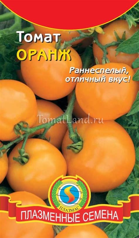 Томат Оранж: описание сорта, ОТЗЫВЫ, фото