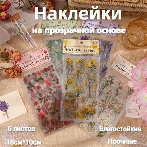 Набор наклеек для скрапбукинга, цветы и растения, 6 листов в наборе ...