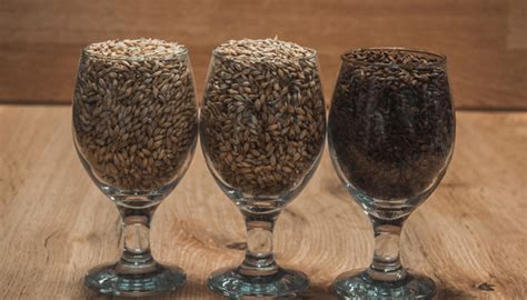 malting varieties   farm management impacts  malting