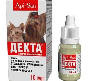 Демодекоз у собак: фото, лечение, симптомы, препараты