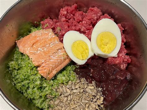 nutritionally complete homemade dog food recipes pdf 7