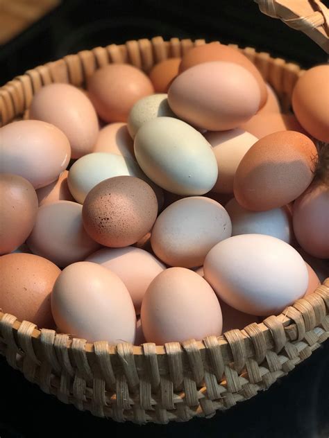 🐣🐣🐣 we have 6 dozen 🐣🐣🐣 Today ! Text... - La Ti Flocking Da