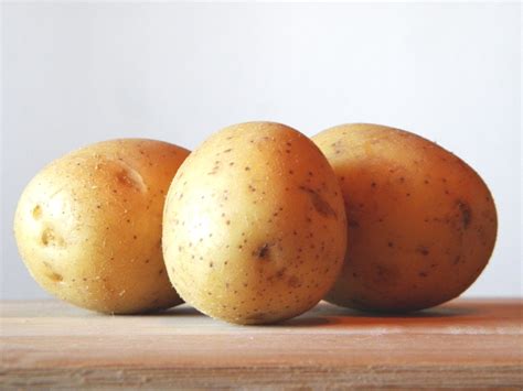potato intolerance decoded mastering  basics
