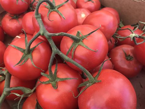Fort Collins Farmers Market