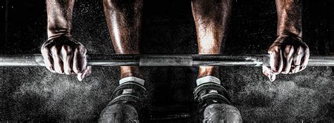 vi customized exercise program physioinsider