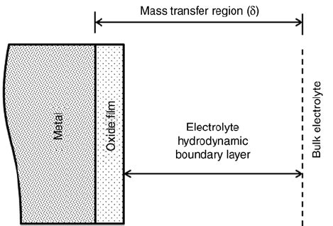 diffusion layer   working electrode surface  scientific