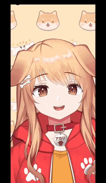 Wanunaka Inunaka Akari GIF - Wanunaka Inunaka Akari Dog - Discover